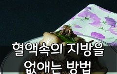 [좋은글] 혈액속의 지방을 없애는 방법