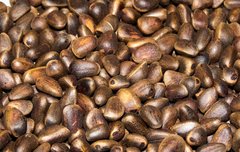 [좋은글] 잣의 효능 7가지