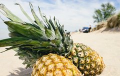 [좋은글] 파인애플 먹어야 하는 이유