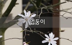 [좋은글]  업둥이