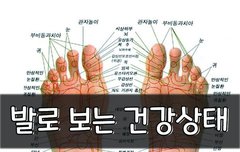 [좋은글] 발로 보는 건강상태