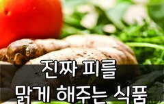 [좋은글] 진짜 피를 맑게 해주는 식품