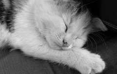 [좋은글] 상쾌한 기상을 위한 숙면방법