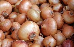 [좋은글] 만성 염증 잡는 영양덩어리! 뿌리와 껍질