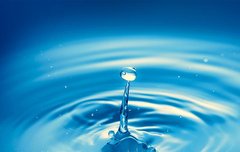 [좋은글] 일수사견一水四見 - 한 가지 물을 네 가지로 보다, 사물을 모두 똑 같이 인식할 수 없다.