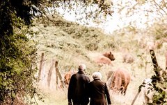 [좋은글] 해로동혈偕老同穴 - 살아서는 같이 늙고 죽어서는 한 무덤에 묻히다.