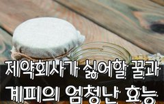 [좋은글] ○ 제약회사가 싫어할 꿀과 계피의 엄청난 효능