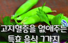 [좋은글] ○ 고지혈증을 없애주는 특효 음식 7가지