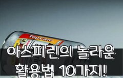 [좋은글] 아스피린의 놀라운 활용법 10가지