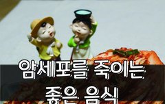 [좋은글] 암세포를 죽이는 좋은 음식