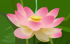 [좋은글] 행복하게 나이드는 비법 2