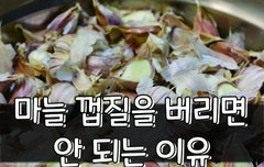 [좋은글] ○ 마늘 껍질을 버리면 안 되는 이유