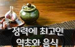 [좋은글] 정력에 최고인 약초와 음식