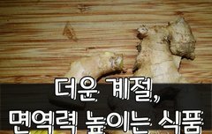 [좋은글] 더운 계절, 면역력 높이는 식품