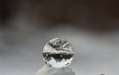 [좋은글] 명주암투明珠暗投 - 구슬을 어둠 속으로 던지다, 가치를 모르고 썩히다.