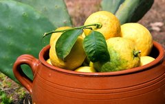 [좋은글] 행복의 항아리