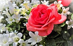 [좋은글] 가장 중요한 사람