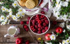 [좋은글] 뱃살 빼는 10가지 습관