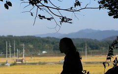 [좋은글] 지신불가경持身不可輕 - 몸가짐을 가벼이 해서는 안 된다.