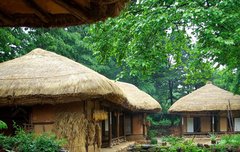 [좋은글] 온고지신溫故知新 - 옛것을 익히고 새것을 알다.