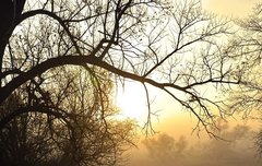 [좋은글] 배궁사영杯弓蛇影 – 술잔에 비친 활을 뱀으로 알다.