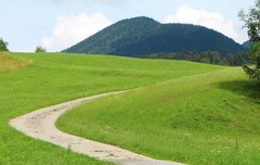 [좋은글] 성혜成蹊 - 지름길이 생기다, 덕이 있으면 흠모하는 사람이 찾는다.