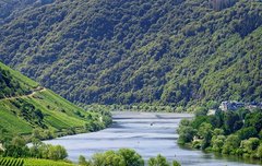 [좋은글] 일사천리一瀉千里 - 물이 흘러 천리를 가다, 거침없이 일을 처리하다.