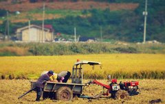 [좋은글] 항산항심恒産恒心 - 일정한 생업이 있어야 변함없는 마음이 있다