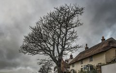 [좋은글] 작사도방作舍道傍 - 길옆에 집짓기, 의견이 많아 얼른 결정하지 못함