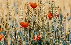 [좋은글] 나를 변화시키는 방법 10가지