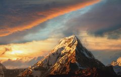 [좋은글] 오늘의 명언