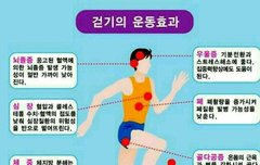 [좋은글] ◇ 암과 걷기 와 등산