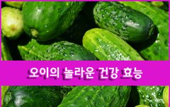 [좋은글] ◇오이의 놀라운 건강 효능