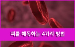 [좋은글] ◇ 피를 해독하는 4가지 방법