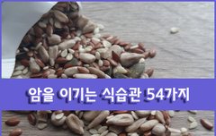 [좋은글] ◇암을 이기는 식습관 54가지