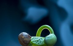 [좋은글] 미조이모未兆易謀 - 조짐이 있기 전에 계획해야 일이 쉽다, 화근의 싹을 미리 잘라야 한다.