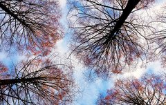 [좋은글] 소국과민小國寡民 - 작은 나라 적은 백성, 욕심 없는 이상사회