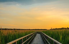 [좋은글] 본립도생本立道生 - 기본이 서면 나아갈 길이 생긴다.