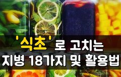[좋은글] ◇ 식초로 고치는 지병 18가지
