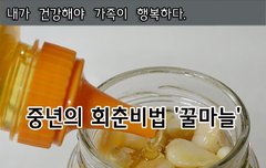 [좋은글] ◇ 중년의 회춘비법 '꿀마늘'