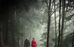 [좋은글] ◇ 혈관회춘! 혈관을 10년 젊게 만드는 비법