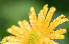 [좋은글] 천냥빚도 갚는 말의 법칙 18계