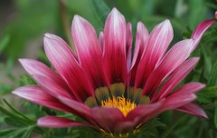 [좋은글] 아무런 자취도 남기지 마라.