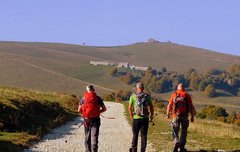 [좋은글] ◇ 모든 문제의 해결은 스스로의 몫이다