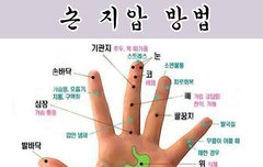 [좋은글] ◇ 손 지압 방법