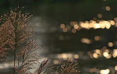 [좋은글] ◇ 대장이 깨끗해야 병에 걸리지 않는다