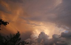 [좋은글] 불공대천不共戴天 - 함께 하늘을 이지 못함, 부모를 죽인 원수 