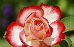 [좋은글] 색유色喩 - 여색을 경계하다.