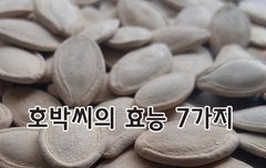[좋은글] ◇ 호박씨의 효능 7가지