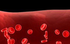 [좋은글] ◇ 혈관을 젋게 만들어주는 10가지 식품
